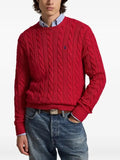Polo Ralph Lauren Driver sweater